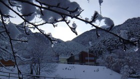 Alberg la Comella