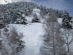 Montane Hotel