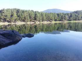 Camp Del Serrat