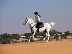 Al Maha, a Luxury Collection Desert Resort & Spa