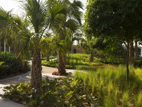 Banyan Tree Dubai
