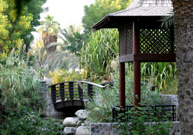 JA Palm Tree Court
