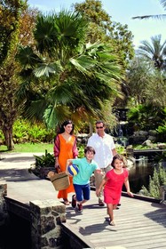 JA Palm Tree Court