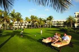 JA Palm Tree Court