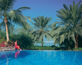 JA Palm Tree Court