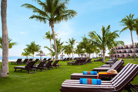 JA Palm Tree Court