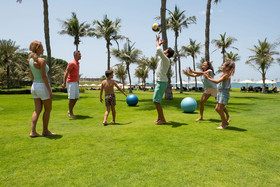 JA Palm Tree Court