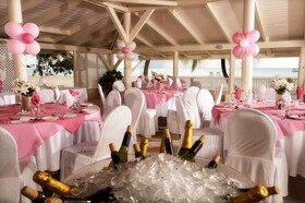 Jolly Beach Resort