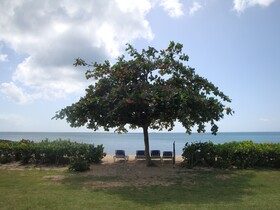 Hawksbill Resort