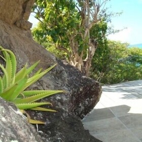 Aloe Villa