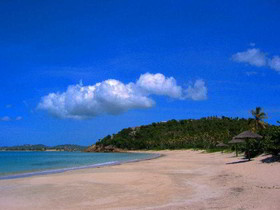 Coconut Beach Club