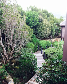 Blue Dream Antigua B&B