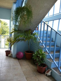 Ellen Bay Cottages