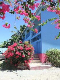 Ellen Bay Cottages