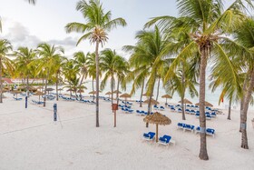 Pineapple Beach Club