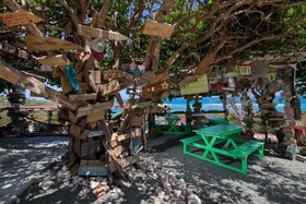 Pineapple Beach Club