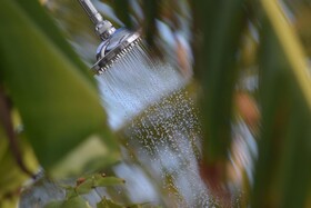 Wild Lotus Glamping Bequia