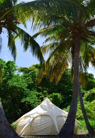 Wild Lotus Glamping Bequia