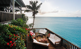 Cocos Antigua