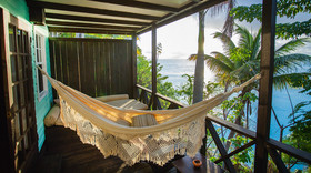 Cocos Antigua
