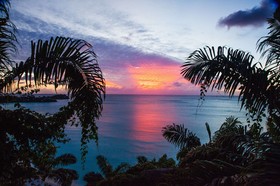 Cocos Antigua