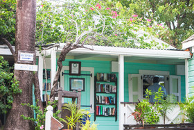 Cocos Antigua