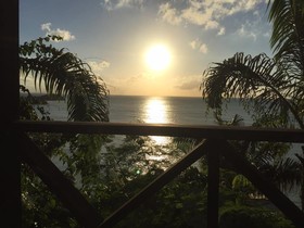 Cocos Antigua