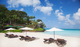 Cocos Antigua