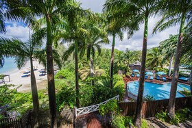 Cocos Antigua