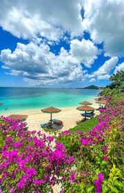 Cocos Antigua