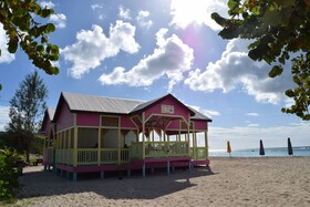 Wild Lotus Glamping