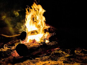 Wild Lotus Glamping