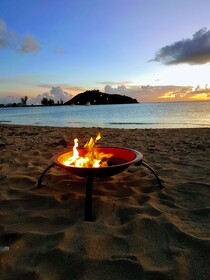 Wild Lotus Glamping