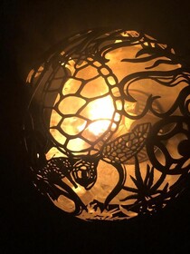 Wild Lotus Glamping