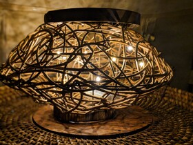 Wild Lotus Glamping