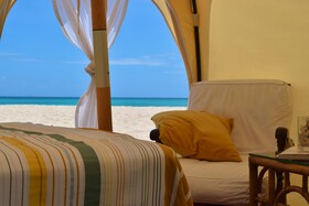 Wild Lotus Glamping