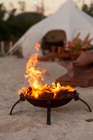Wild Lotus Glamping