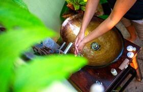 Wild Lotus Glamping