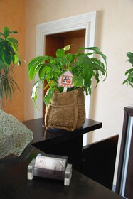 Hotel Gega