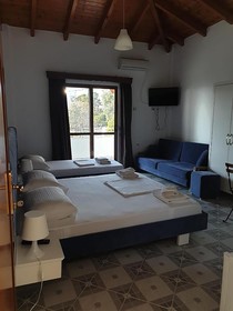 Vila Olsi