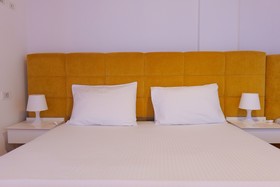 Vila Olsi