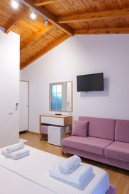 Vila Olsi