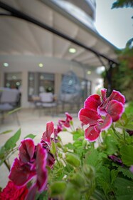 Hotel Kroi