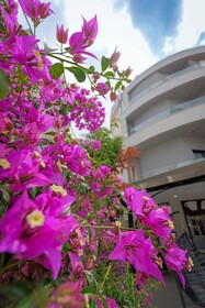 Hotel Kroi