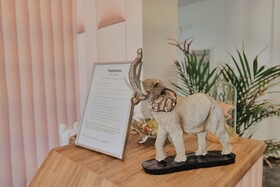 Siars Hotel