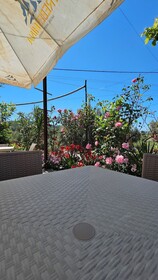 Vila Malo
