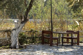 Oasis Hotel