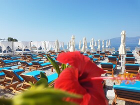 Cocktail & Dreams - Beach Hotel