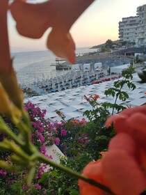 Cocktail & Dreams - Beach Hotel