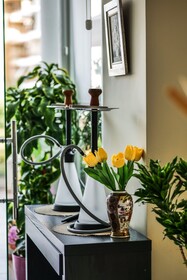 Hotel Oasis